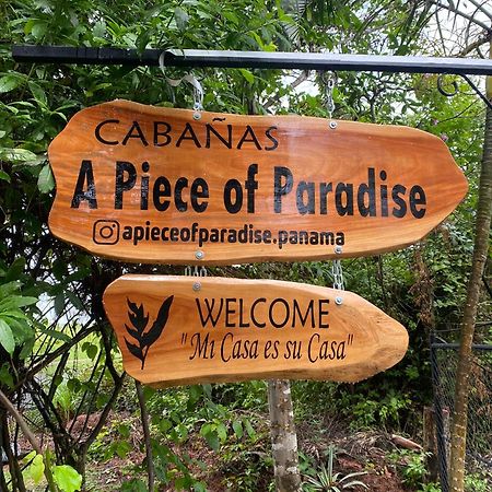 A Piece Of Paradise سان كارلوس المظهر الخارجي الصورة