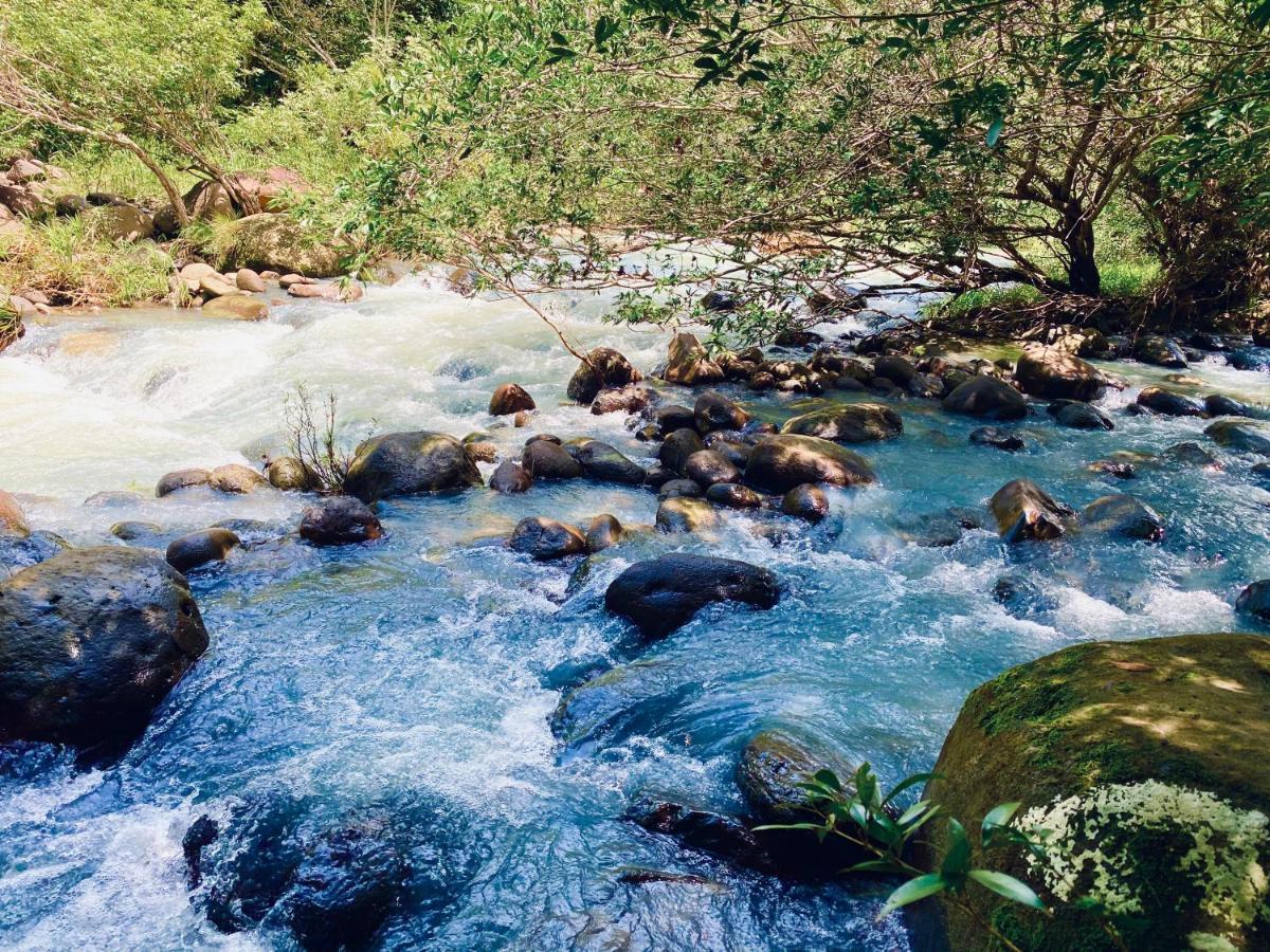 A Piece Of Paradise سان كارلوس المظهر الخارجي الصورة