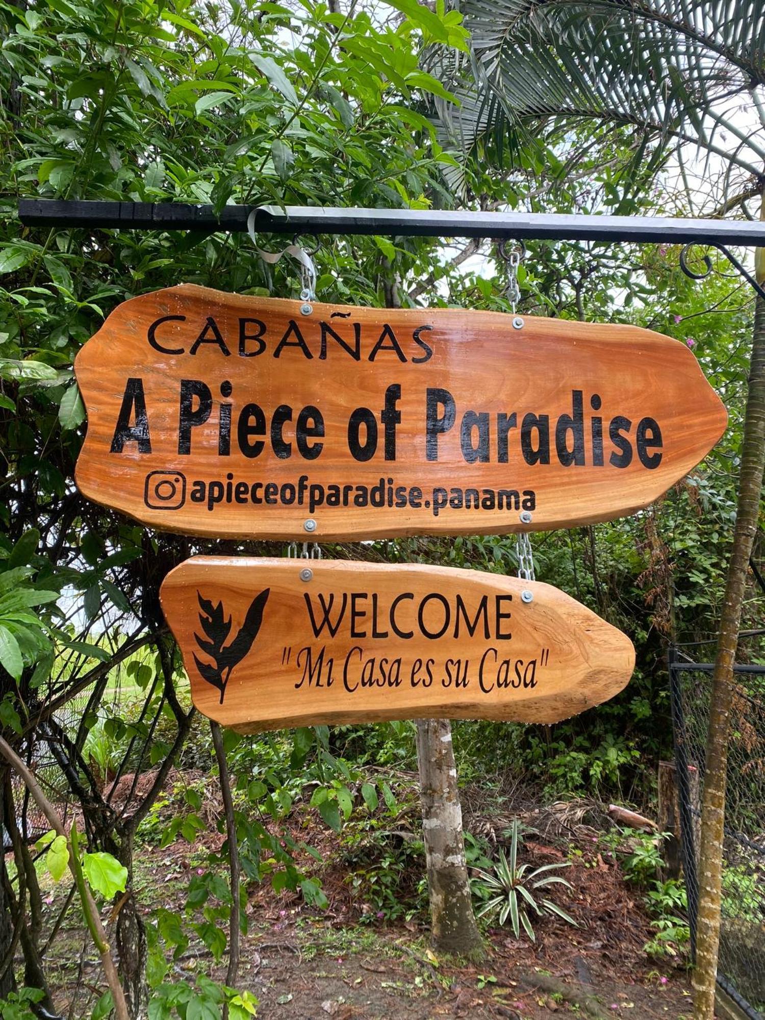 A Piece Of Paradise سان كارلوس المظهر الخارجي الصورة