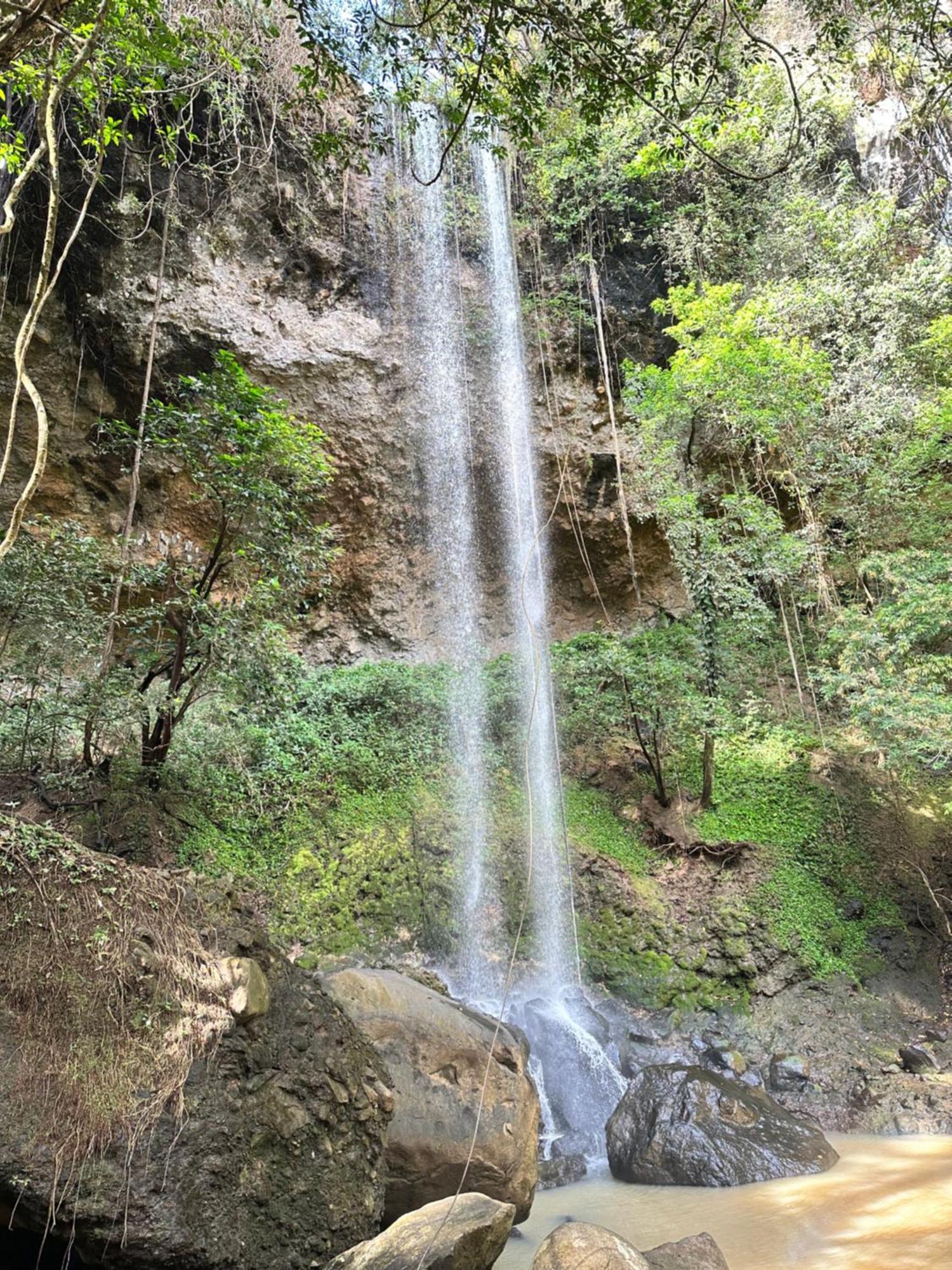 A Piece Of Paradise سان كارلوس المظهر الخارجي الصورة