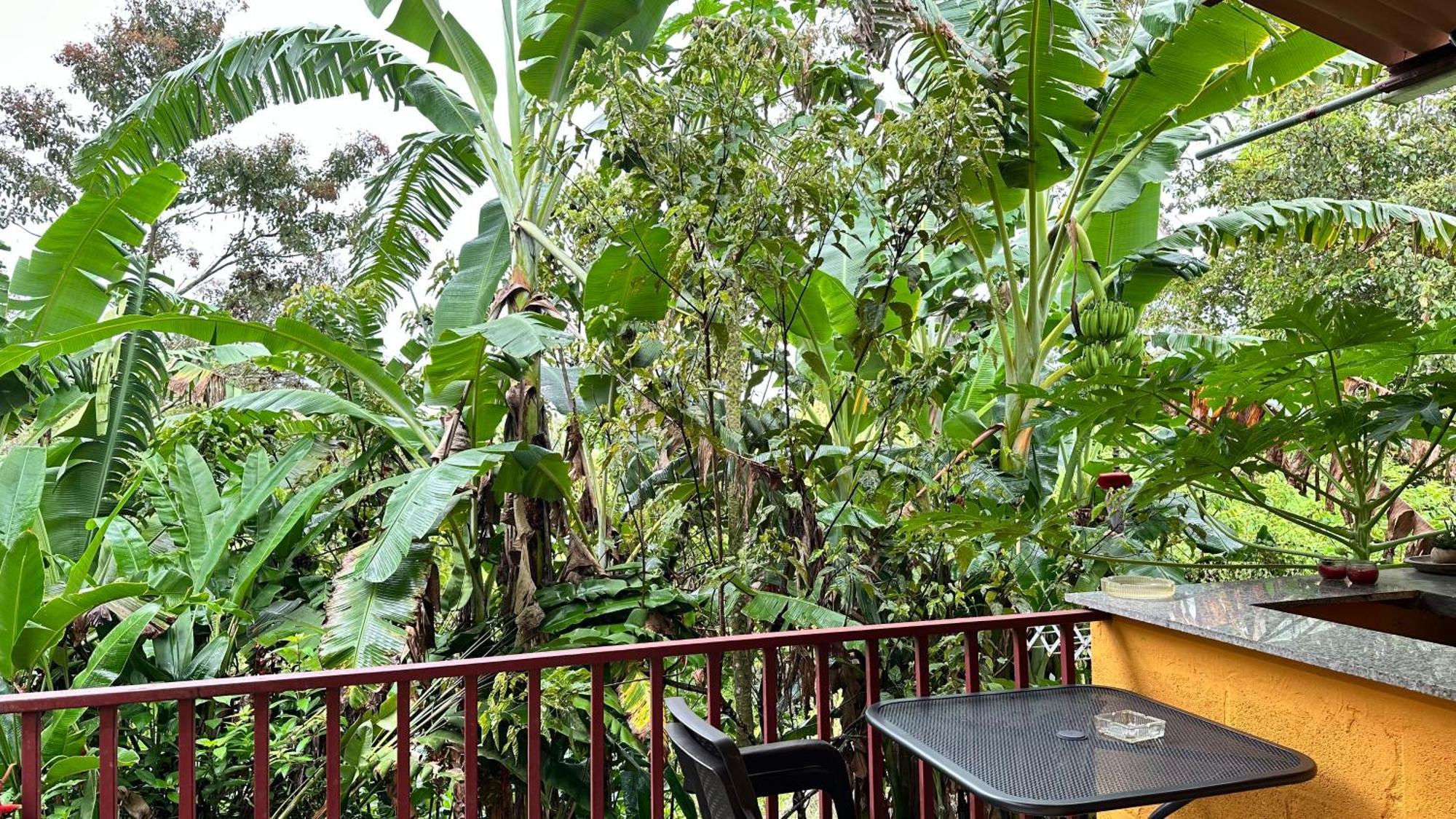 A Piece Of Paradise سان كارلوس المظهر الخارجي الصورة