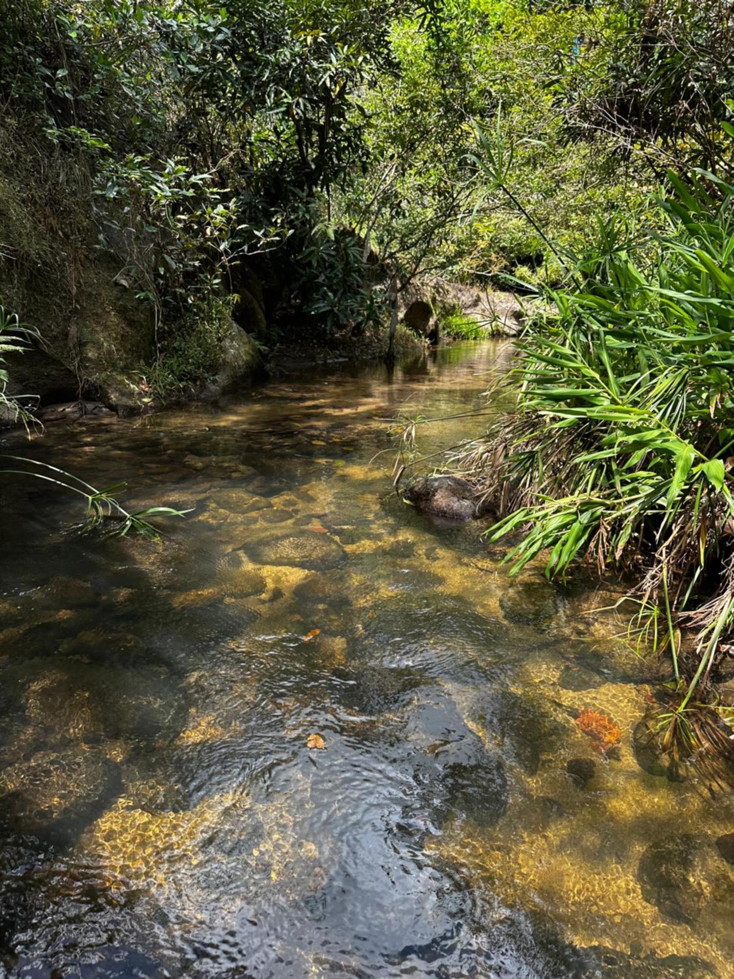 A Piece Of Paradise سان كارلوس المظهر الخارجي الصورة